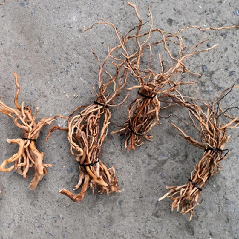 Aquarium Driftwood - ต้นไม้รากไม้ลอยน้ำธรรมชาติสำหรับตกแต่งตู้ปลา ไมโครแลนด์สเคป DIY อุปกรณ์ตกแต่งตู้ปลาในบ้าน