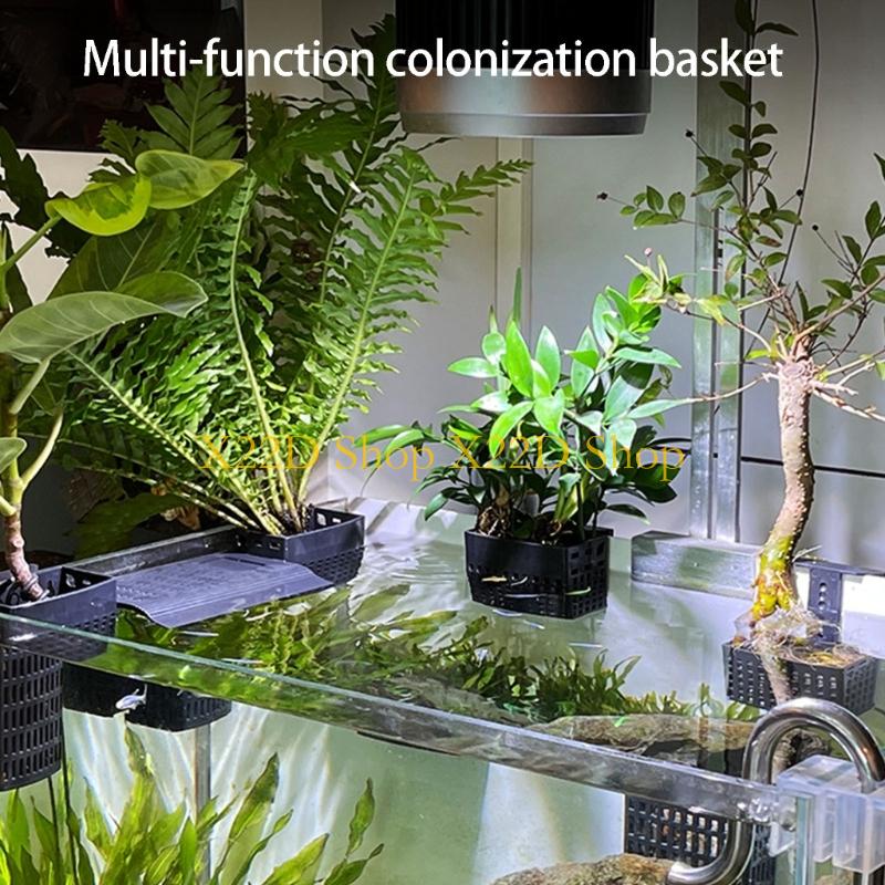Aquarium Plant Holder - X22D โมเดิร์นสไตล์โบราณแนวตั้งผู้ถือพลาสติกติดผนังคอนเทนเนอร์