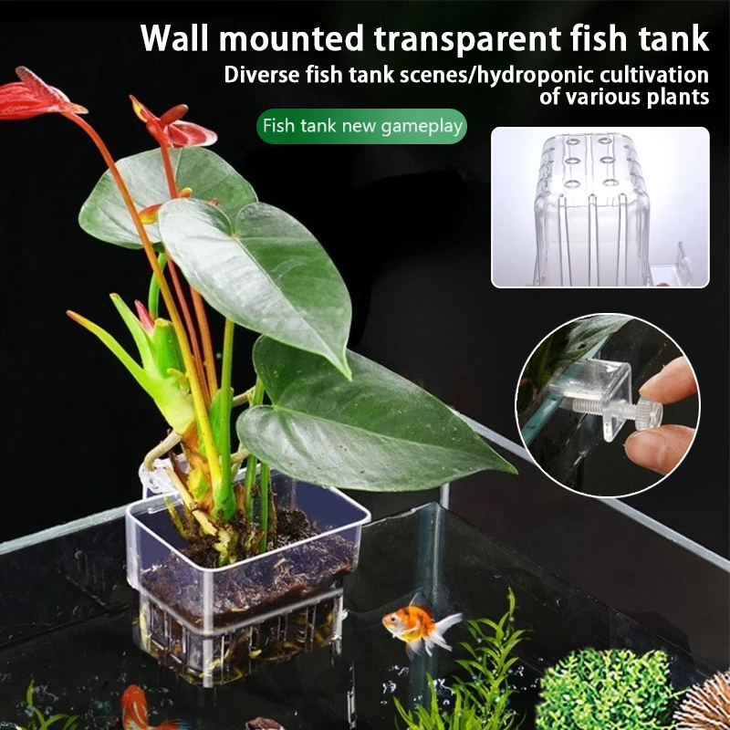 Aquarium Plants Live - กระถางแขวนติดผนังสำหรับปลูกพืชน้ำในตู้ปลา ตะกร้าปลูกพืชน้ำในตู้ปลา กระถางปลูกพืชน้ำในตู้ปลา