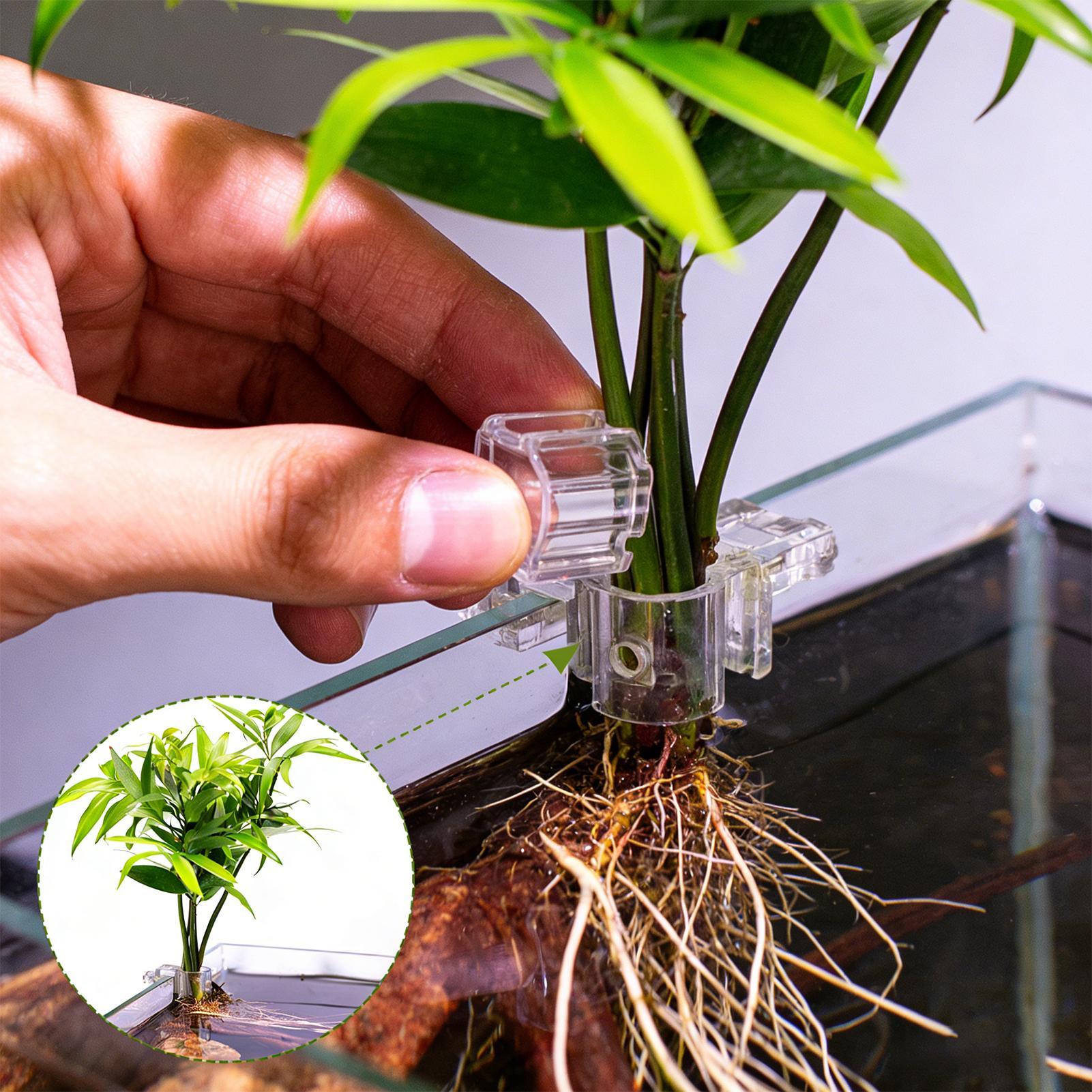 Aquarium Fertilizer - กระถางปลูกต้นไม้ขนาดเล็กสำหรับตู้ปลา 6 ชิ้น ที่วางต้นไม้ในตู้ปลา ถ้วยรองรับต้นไม้ อุปกรณ์ให้อาหารปลา