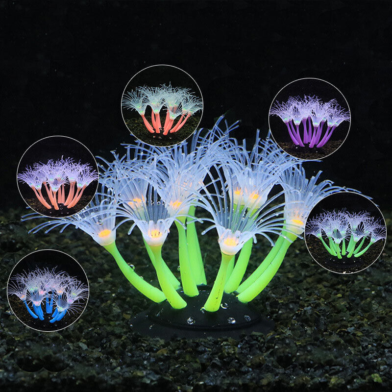 ซิลิโคนเรืองแสงตกแต่งตู้ปลา ปล - Aquarium Plants Live บทวิจารณ์และราคา