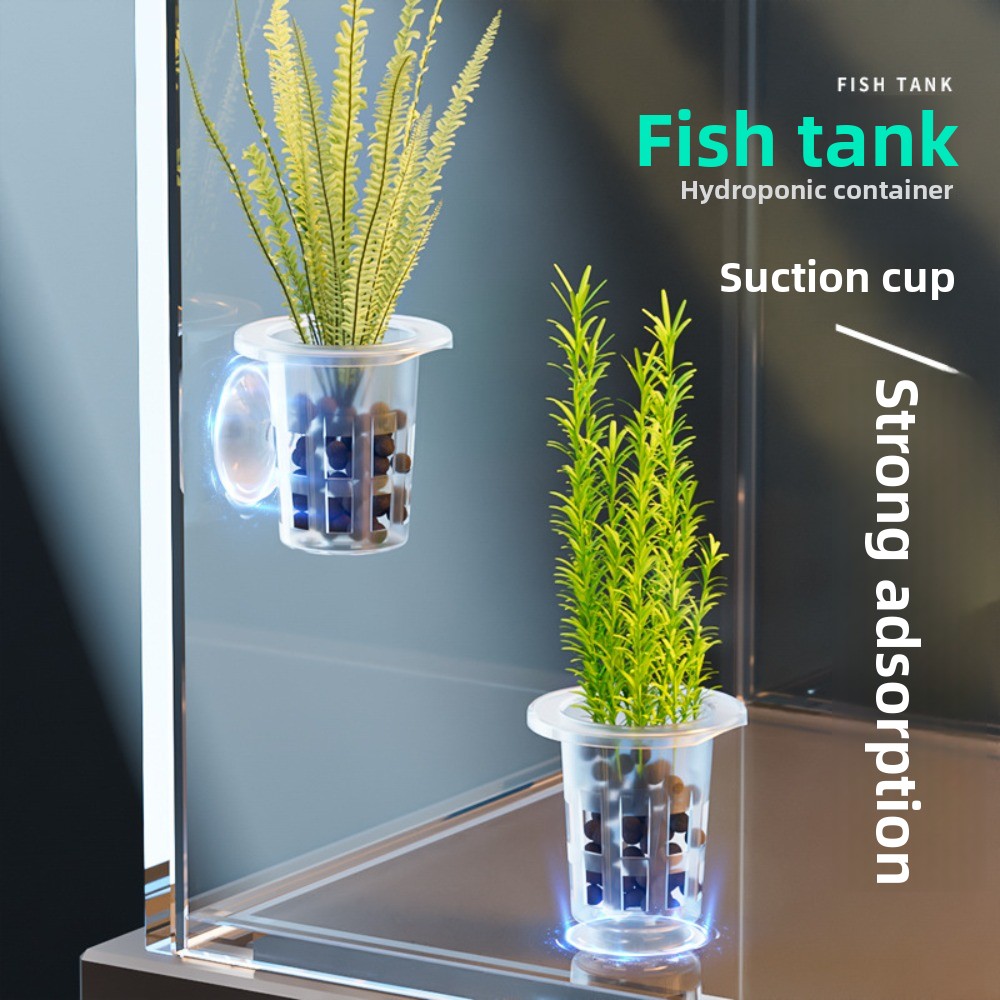 กระถางปลูกพืชแบบไฮโดรโปนิกส์ใส - Aquarium Plants Live บทวิจารณ์และราคา