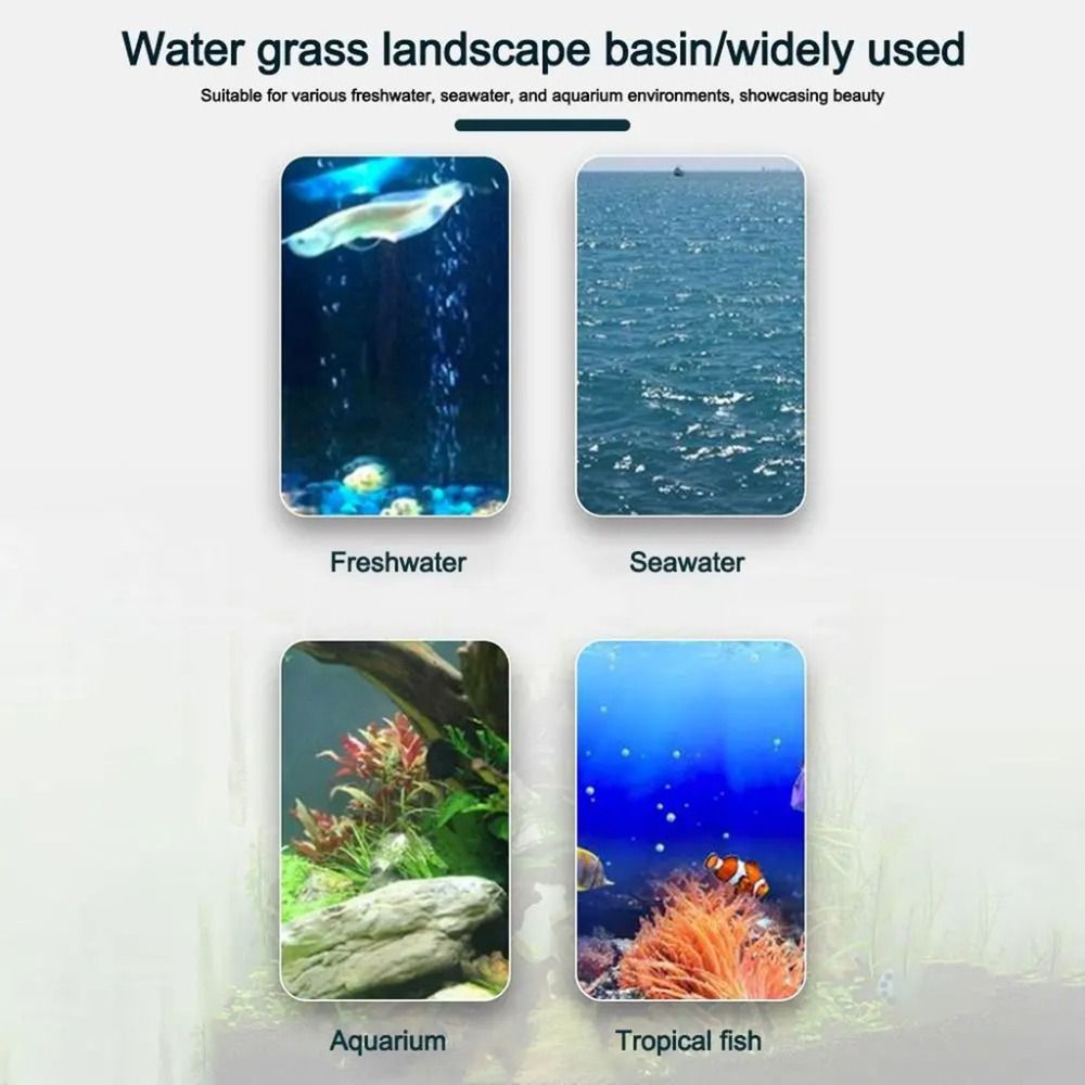 กระถางปลูกพืชแบบไฮโดรโปนิกส์ใส - Aquarium Plants Live บทวิจารณ์และราคา