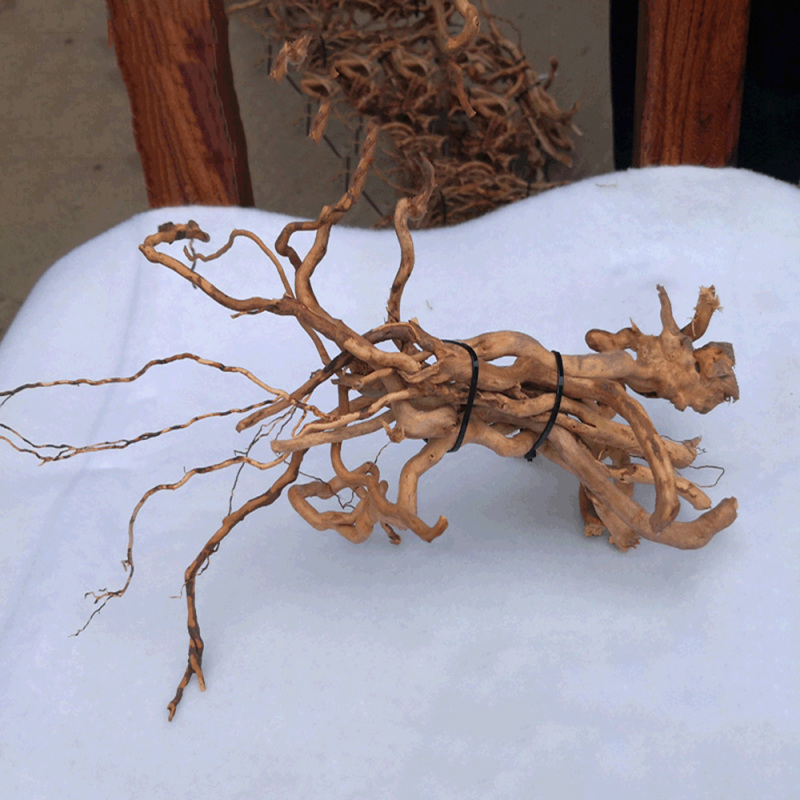 ต้นไม้รากไม้ลอยน้ำธรรมชาติสำหร - Aquarium Driftwood บทวิจารณ์และราคา