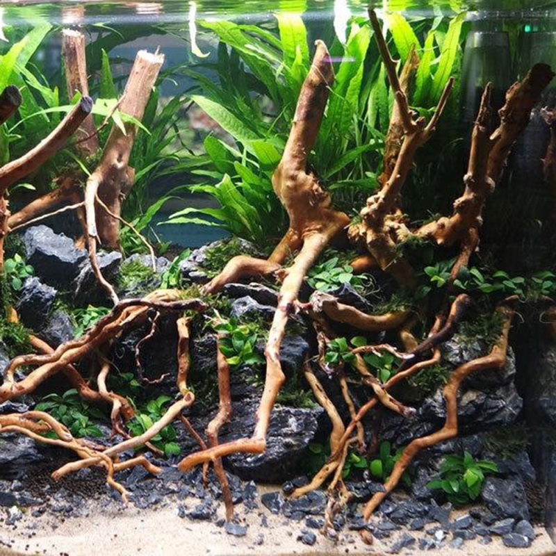 ต้นไม้รากไม้ลอยน้ำธรรมชาติสำหร - Aquarium Driftwood บทวิจารณ์และราคา