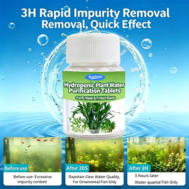 แท็บเล็ตกรองน้ำแบบไฮโดรโปนิกส์ - Plant Aquarium Pot บทวิจารณ์และราคา