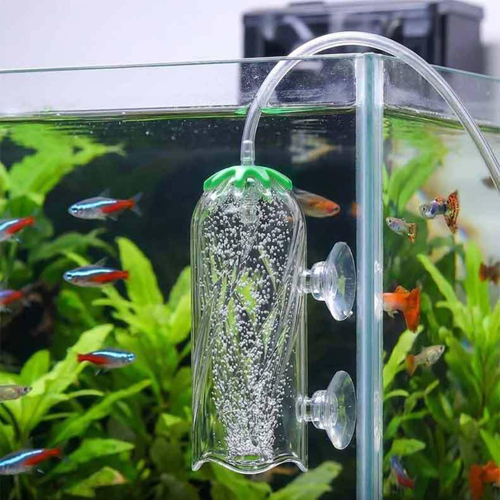 เครื่องกระจายออกซิเจนสำหรับตู้ - Aquarium Planted Tank Filter บทวิจารณ์และราคา