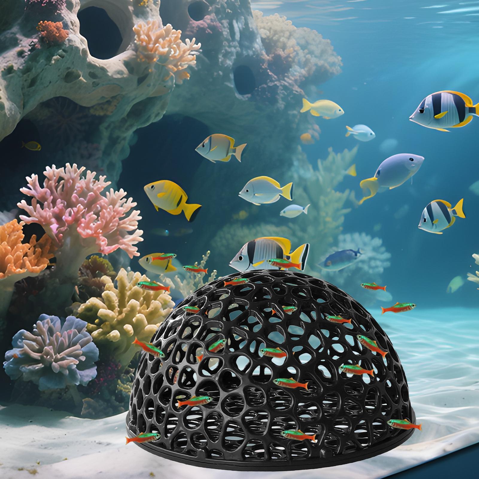 ที่ซ่อนตัวในตู้ปลาสำหรับปลาขนา - Aquarium Plants Live บทวิจารณ์และราคา