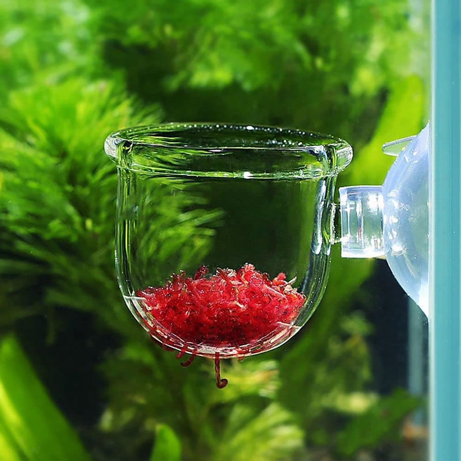 กระถางต้นไม้ตกแต่งตู้ปลา อะคริ - Plant Aquarium Pot บทวิจารณ์และราคา