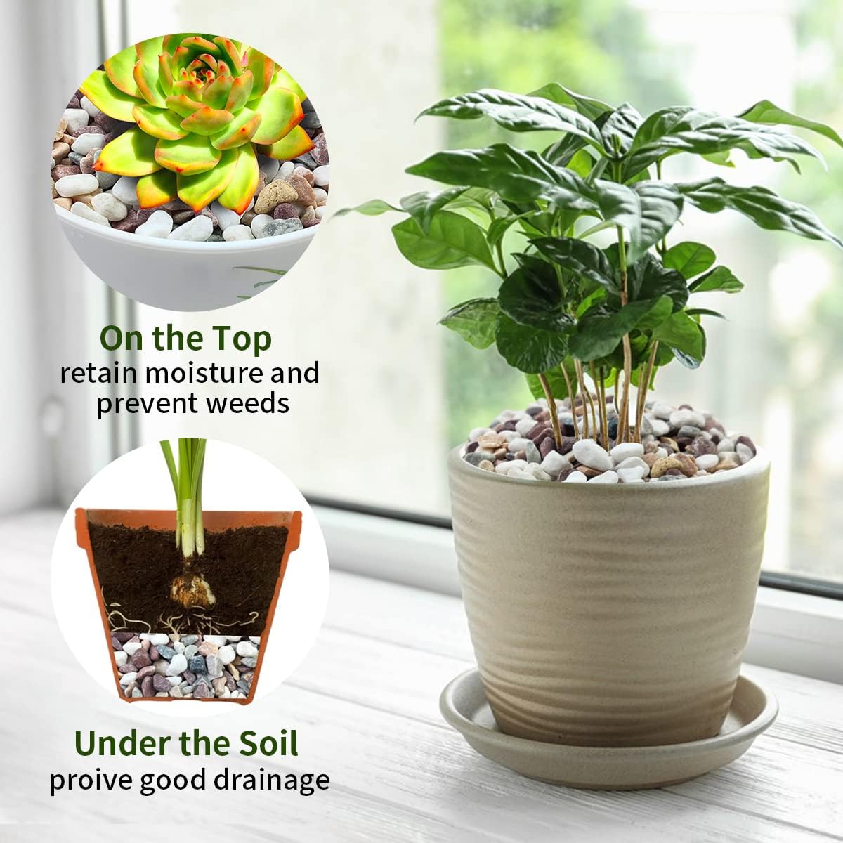 หินกรวดหลากสี สำหรับตกแต่งตู้ป - Plant Aquarium Pot บทวิจารณ์และราคา