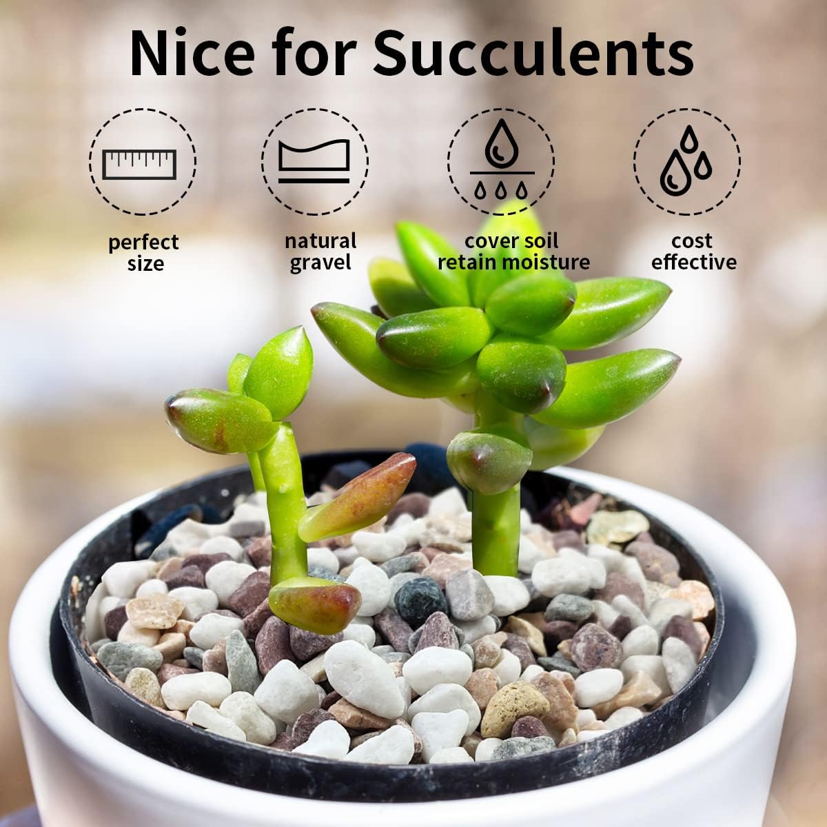 หินกรวดหลากสี สำหรับตกแต่งตู้ป - Plant Aquarium Pot บทวิจารณ์และราคา