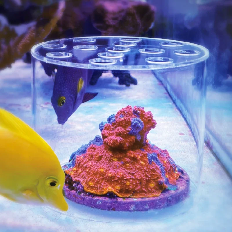 อุปกรณ์ป้อนอาหารปะการังอะคริลิ - Aquarium Fertilizer บทวิจารณ์และราคา