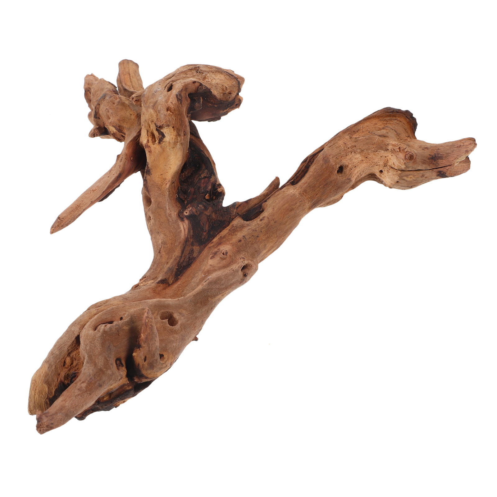 ของตกแต่งตู้ปลาไม้แห้ง 20-25 ซ - Aquarium Driftwood บทวิจารณ์และราคา