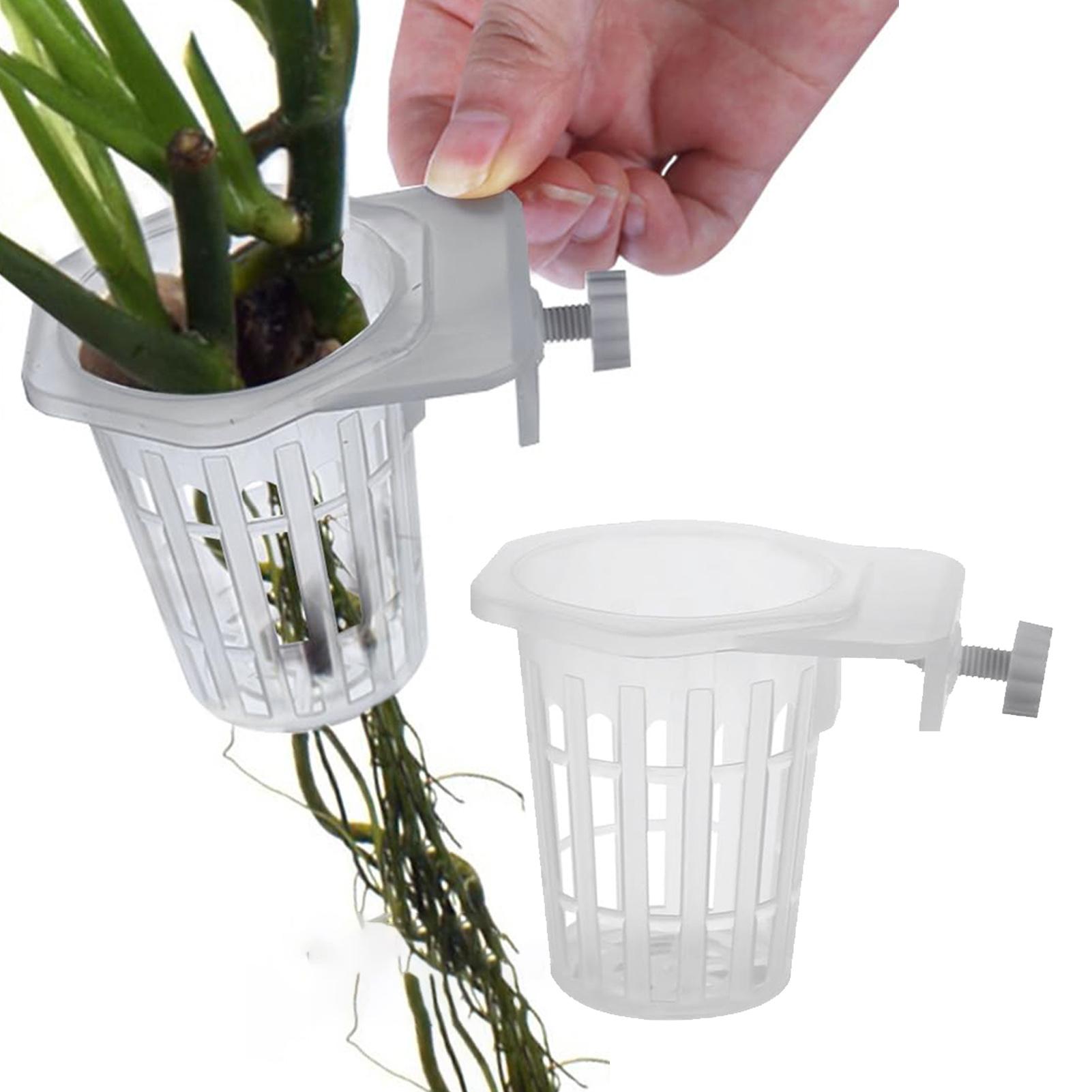 2 ชิ้น ที่แขวนต้นไม้น้ำแบบมีรู - Aquarium Plant Holder บทวิจารณ์และราคา
