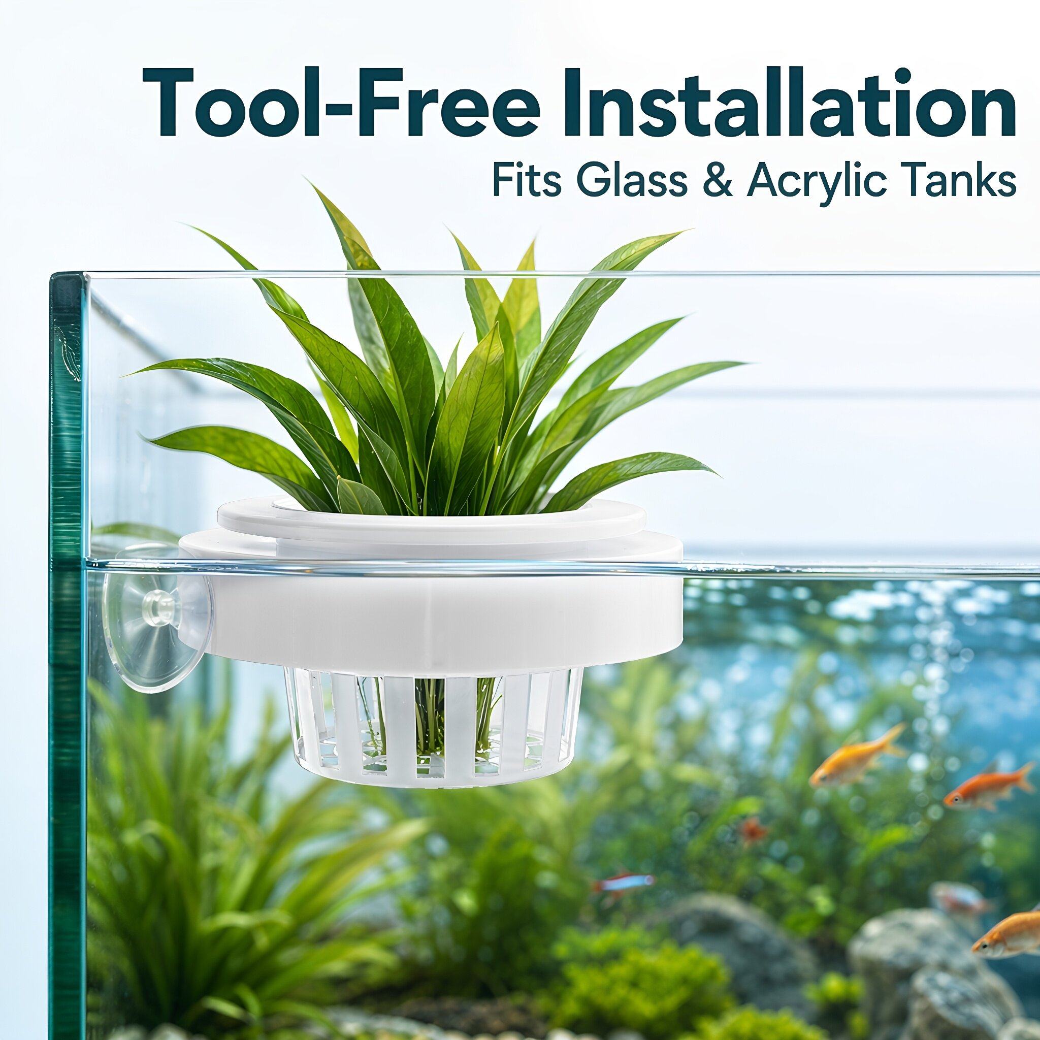 4 ชิ้น ตะกร้าปลูกพืชน้ำลอยน้ำ  - Planted Tank บทวิจารณ์และราคา