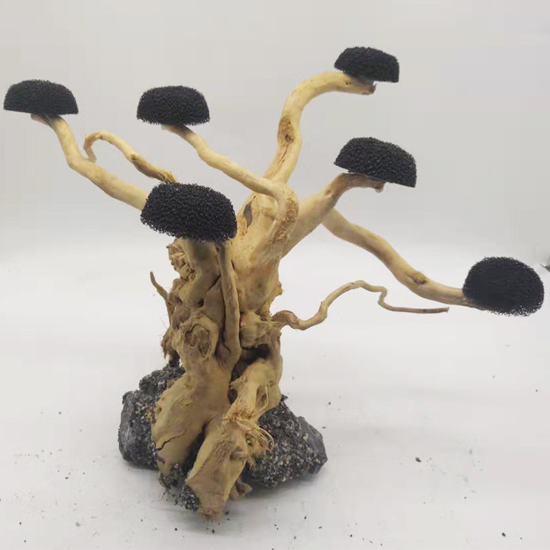 พิพิธภัณฑ์สัตว์น้ํา Driftwood  - Aquarium Driftwood บทวิจารณ์และราคา