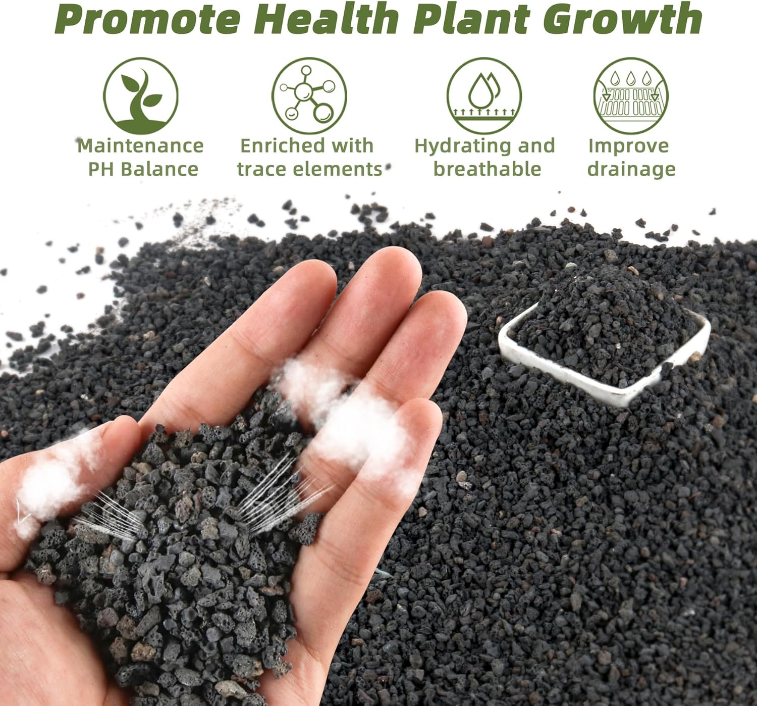 วัสดุกรองสำหรับตู้ปลาสีดำ ขนาด - Plant Aquarium Pot บทวิจารณ์และราคา