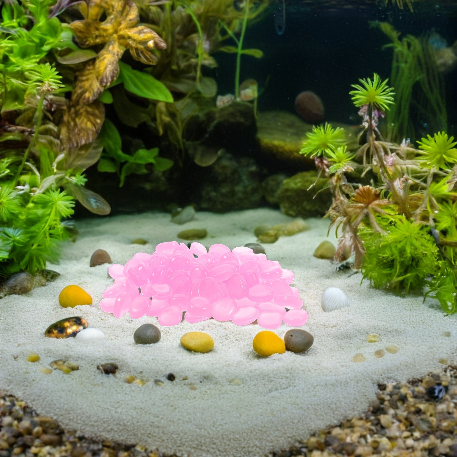 หินเรซินเรืองแสงในที่มืด สำหรั - Plant Aquarium Pot บทวิจารณ์และราคา