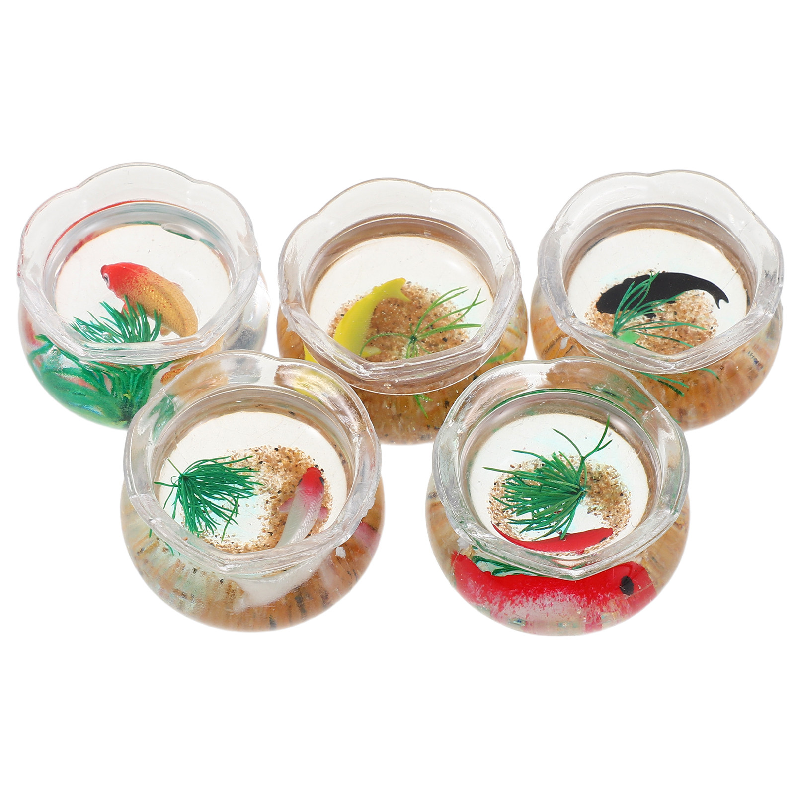 ชุดตู้ปลาคาร์ปจิ๋ว 5 ชิ้น: ตู้ - Planted Tank บทวิจารณ์และราคา