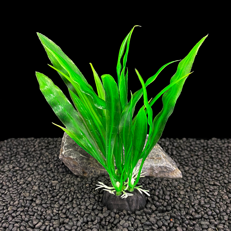 ชุดต้นไม้ประดับตู้ปลา 6 ชิ้น ข - Aquarium Plants Live บทวิจารณ์และราคา
