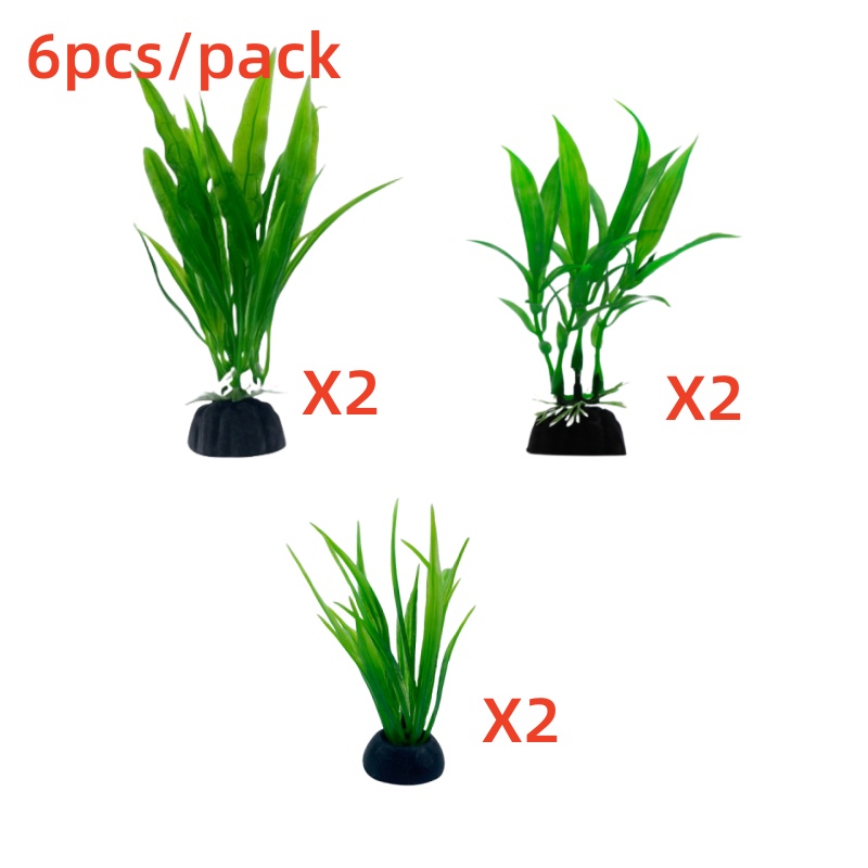ชุดต้นไม้ประดับตู้ปลา 6 ชิ้น ข - Aquarium Plants Live บทวิจารณ์และราคา